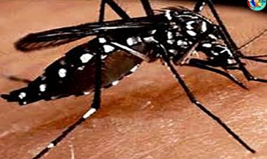 Casos de dengue já atingem várias cidades do ceará e preocupam gestores em saúde de vários municípios